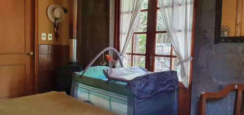 Casa de Monta�a Inmersa En Bosque Nativo
