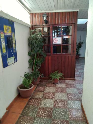 Albergue Hostal Gomero Y Shuttle Service
