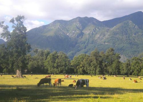 Albergue Hostal Tour Pucon