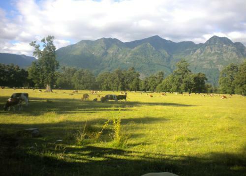Albergue Hostal Tour Pucon