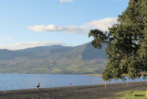 Apartamento Pucon Magia Y Encanto Del Sur