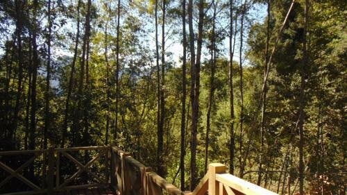 Caba�a Terraza Bosque Puc�n