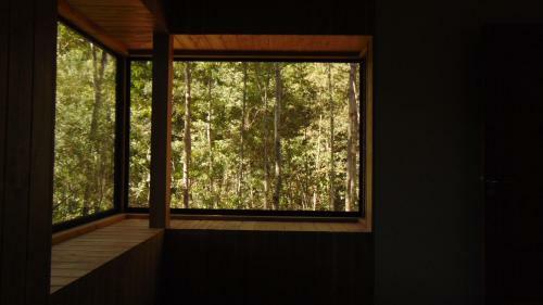 Caba�a Terraza Bosque Puc�n