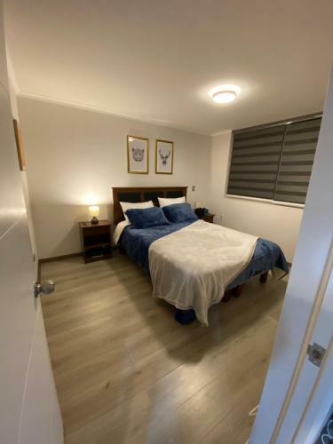 Apartamento Pucon Oriente