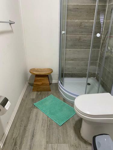 Apartamento Caba�a Chucao