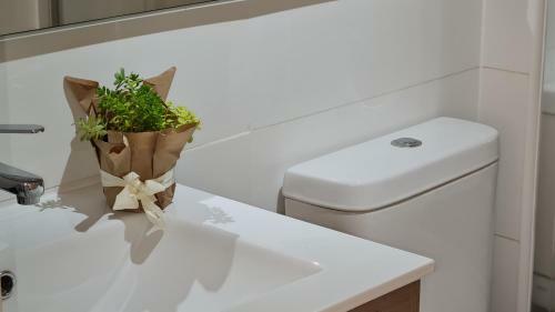 Apartamento Curitiba Vip Studio 21