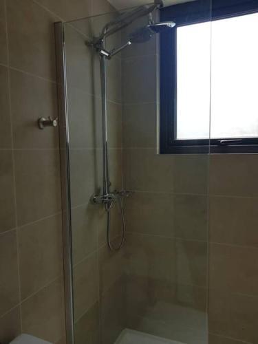 Pewen Apart Hotel Puc�n 5