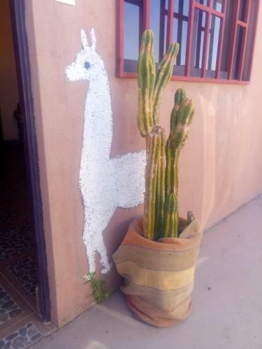 Complejo Luinatur