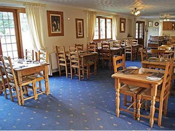 Hostal Little Foxes Hotel