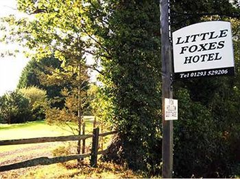 Hostal Little Foxes Hotel