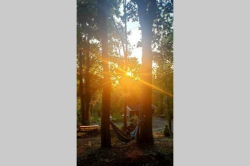 Caba�a En El Cerro Con Vista Al R�o