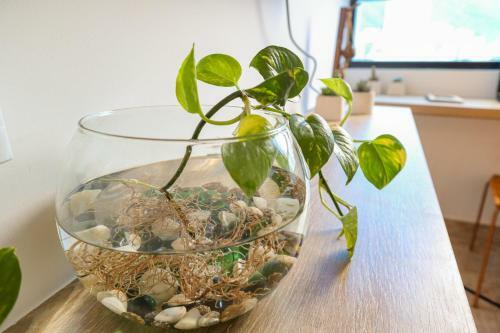 Kokedama Apartamento Santa Marta, Rodadero
