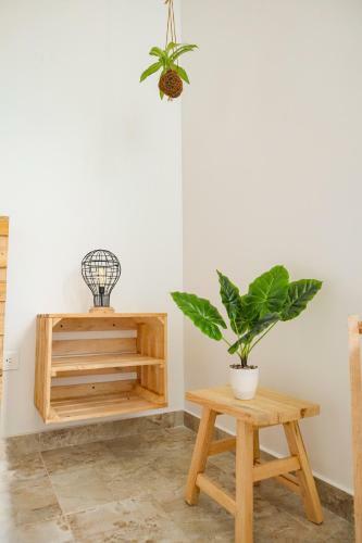 Kokedama Apartamento Santa Marta, Rodadero