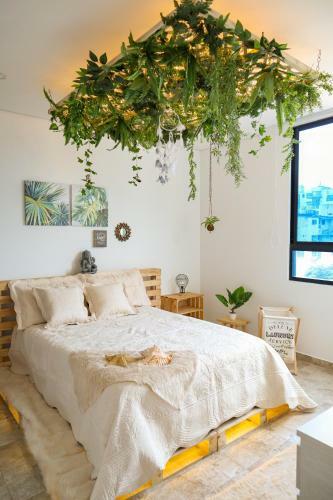 Kokedama Apartamento Santa Marta, Rodadero