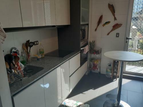 Apartamento Valparaiso- Cerro Alegre