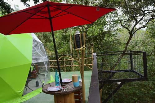 Glamping Dimensi�n Ecol�gica