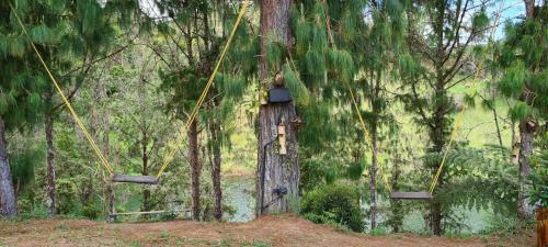 Hotel Domus Glamping