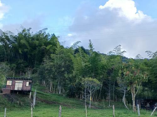 Hotel, Selva Negra