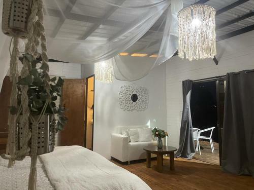 Hotel, Selva Negra