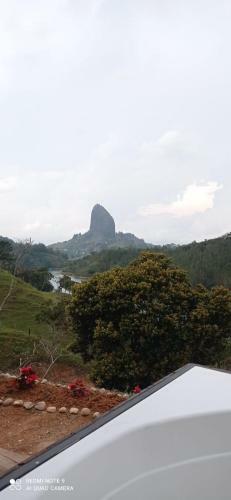 Hotel, Selva Negra