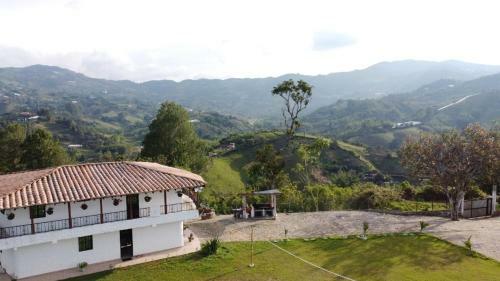 Reina Verde
