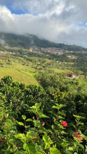 Vista Hermosa Finca Hotel