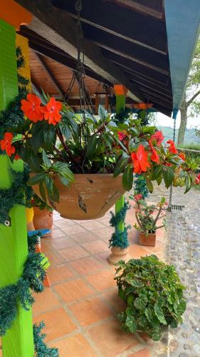 Vista Hermosa Finca Hotel
