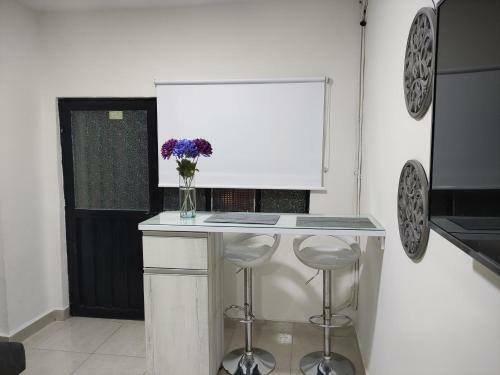 101 Bonito, Econ�mico, Central Y Completamente Dotado Apartaestudio