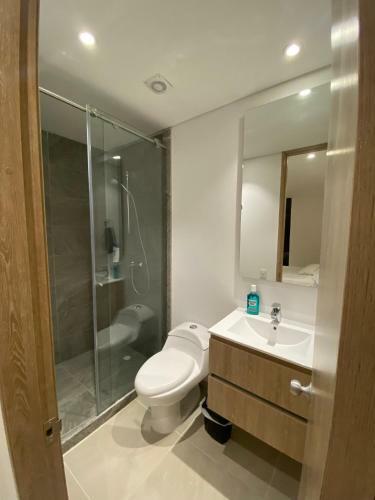 Ibague Luxury Apartment