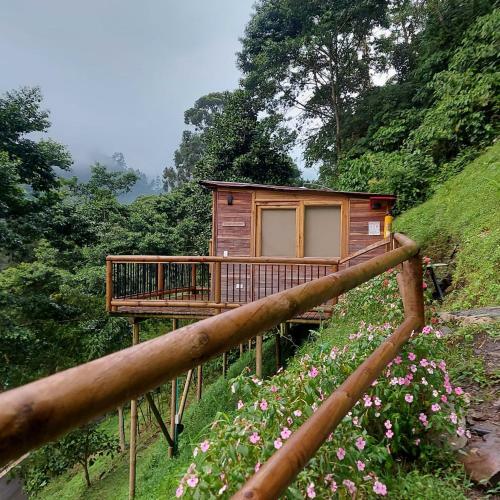 The Garden Caba�as