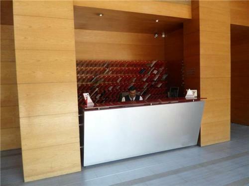 Apartamento Departamento 2 Ambientes Mas Terraza Amoblada, Providencia