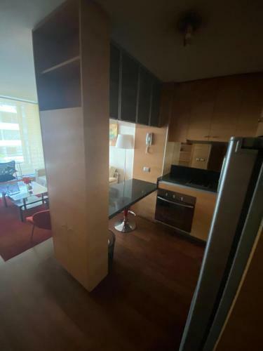 Apartamento Departamento 2 Ambientes Mas Terraza Amoblada, Providencia