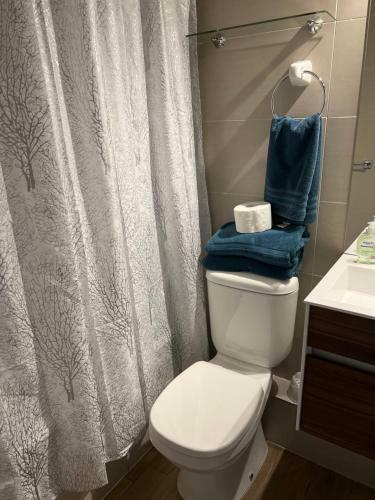 Apartamento 14 Metros Clinica Las Condes