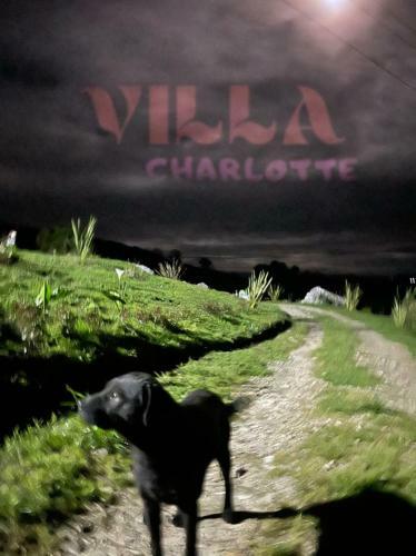 Villa Charlotte, Donde Purificas Alma Y Mente