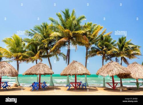 Playa Cove�as , La Sirenita Apartamentos