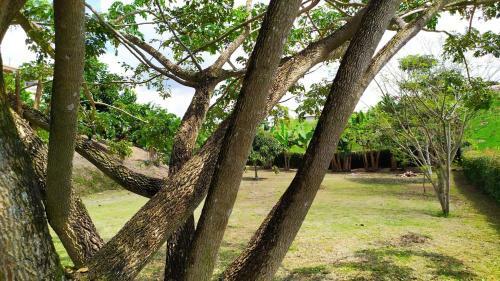 Taraz� Casa Campestre
