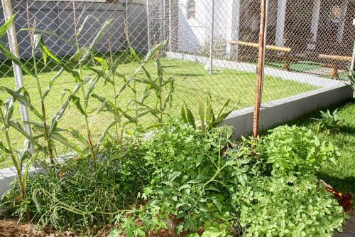 Albergue Marlua Quartos & Su�tes