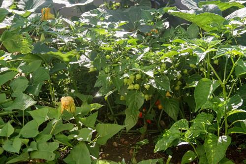 Albergue Marlua Quartos & Su�tes