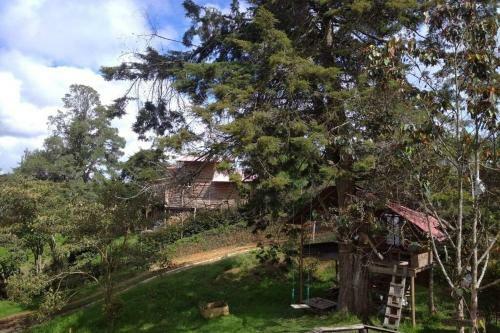 Casa Del Juego Dementes Pensantes