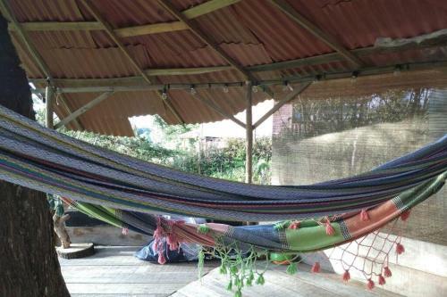 Casa Del Juego Dementes Pensantes