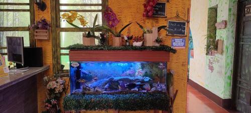 Hostal The Garden Lleras