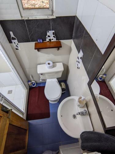 Hostal Refugio En El Bosque
