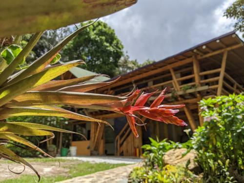 Hostal Refugio En El Bosque