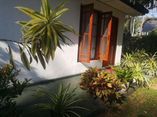 Hostal Arani Homestay