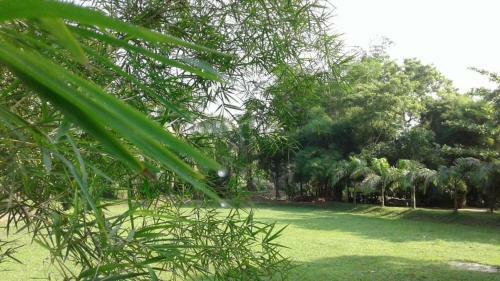 Hotel Royal Garden