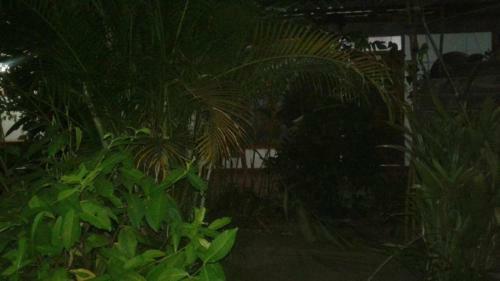 Hotel Royal Garden
