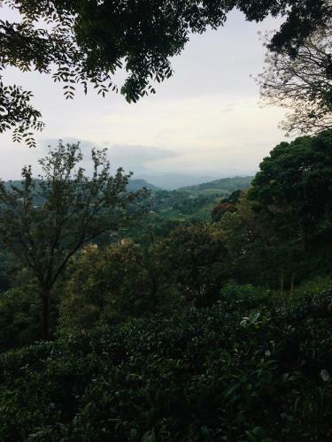 Bed & Breakfast Desire Village Rakwana