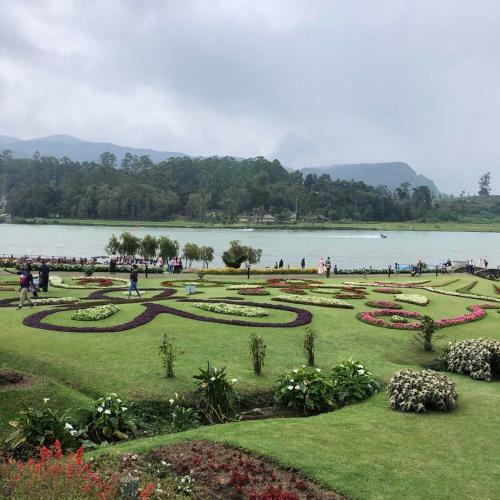 Hostal The Log Nuwaraeliya