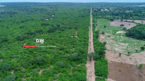 Hotel Dearly Holiday Home And Safari