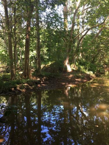 Hostal The Grand Leisure Villa